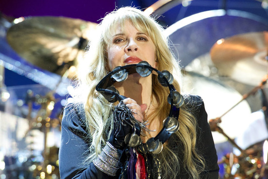 Stevie Nicks copy