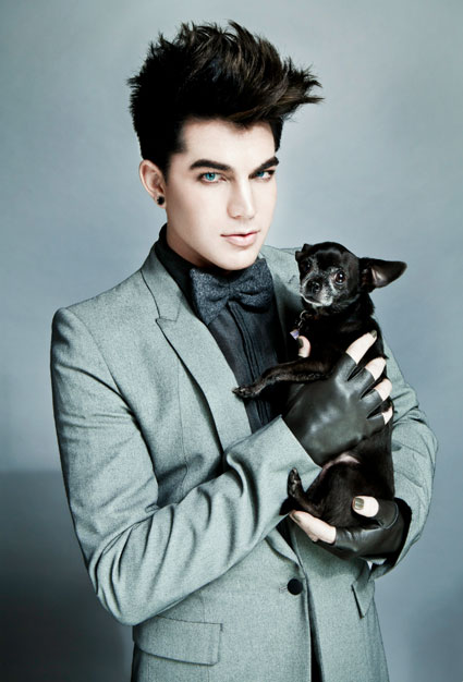 LambertDog