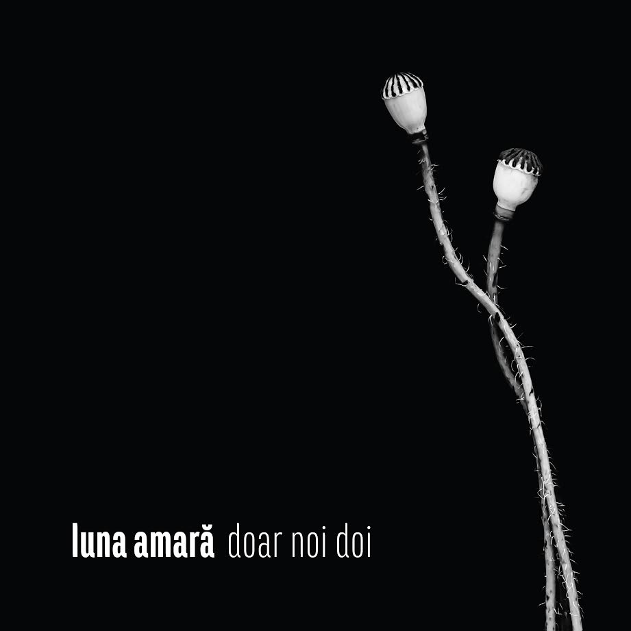 luna-amara-album